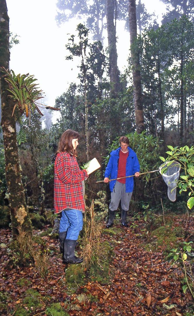 Two people doing science field work